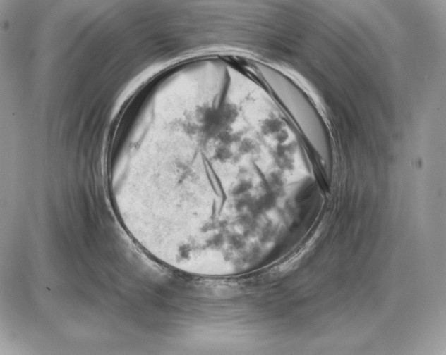 X0000085750910200704131708