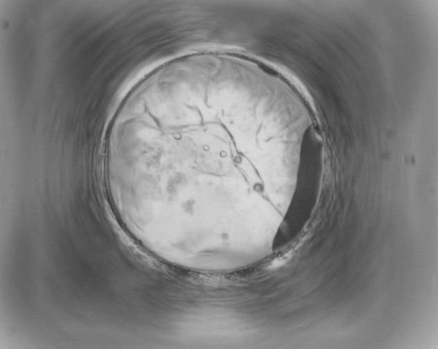 X0000085750911200704131708