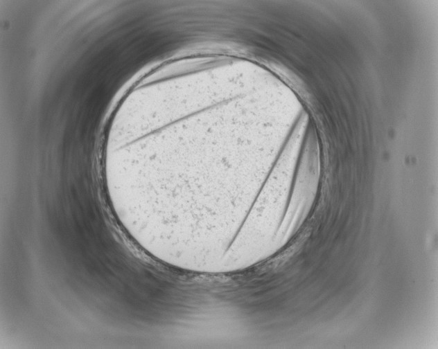 X0000085750912200704131708