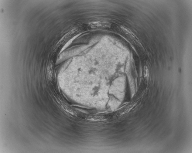 X0000085750915200704131707