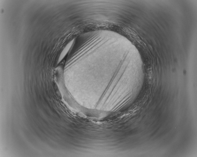 X0000085750916200704131707