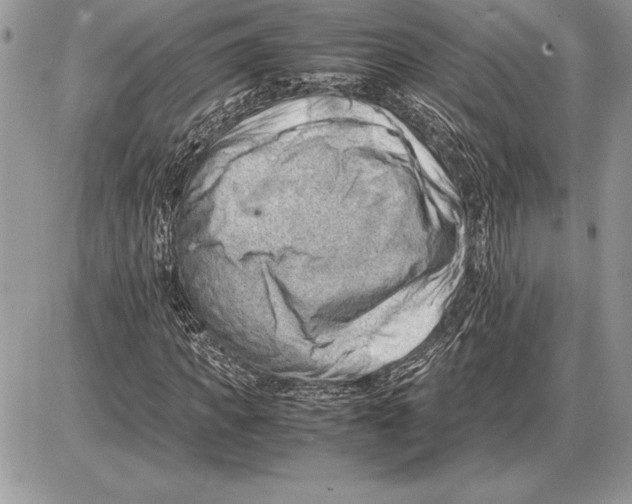 X0000085750917200704131707