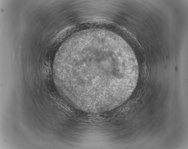 X0000085750918200704131707