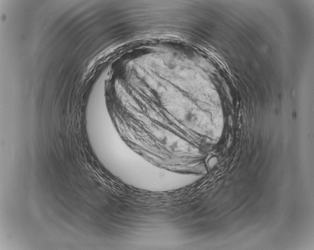 X0000085750920200704131707