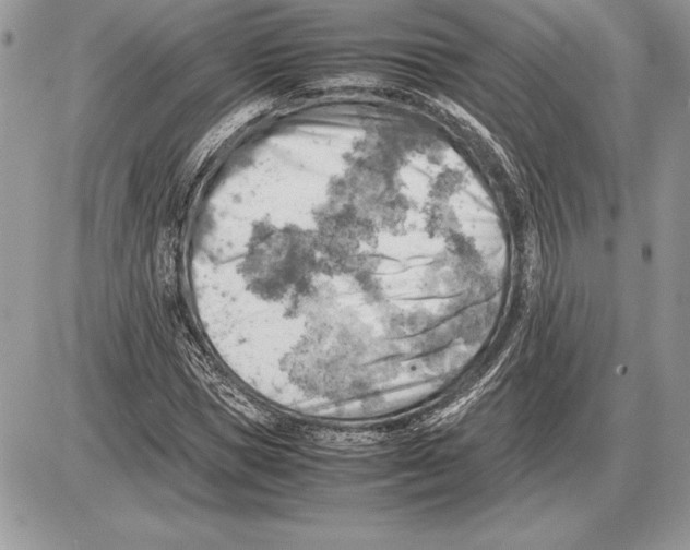 X0000085750921200704131707