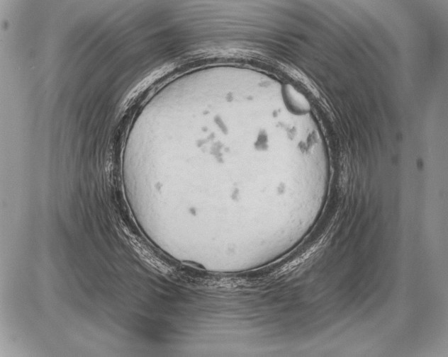 X0000085750922200704131707