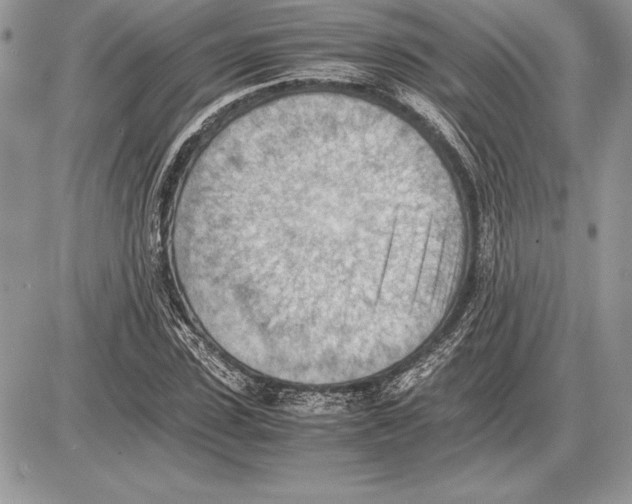 X0000085750923200704131707