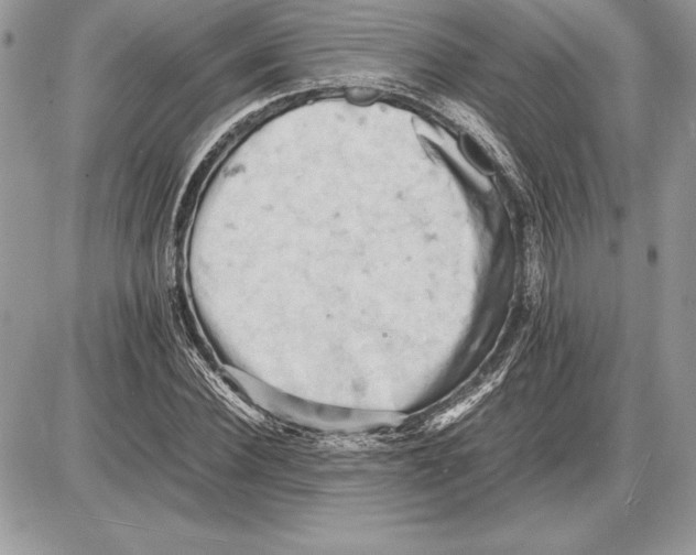 X0000085750924200704131707