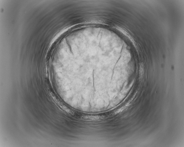 X0000085750925200704131707