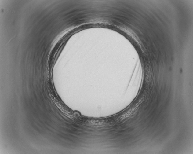 X0000085750927200704131707