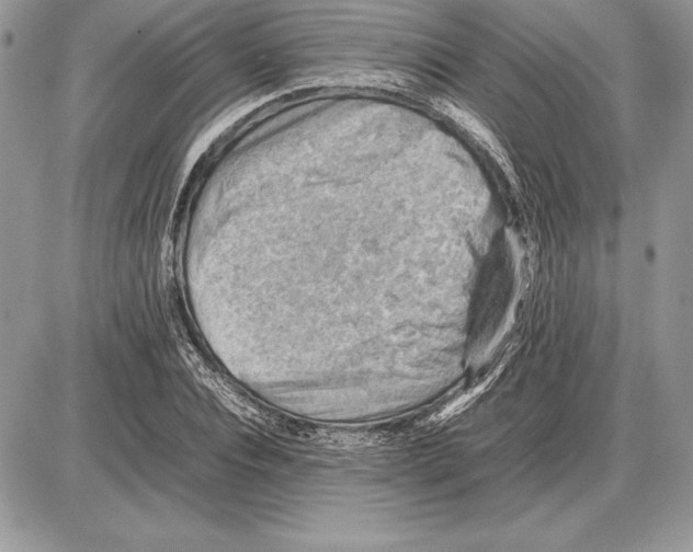 X0000085750928200704131707