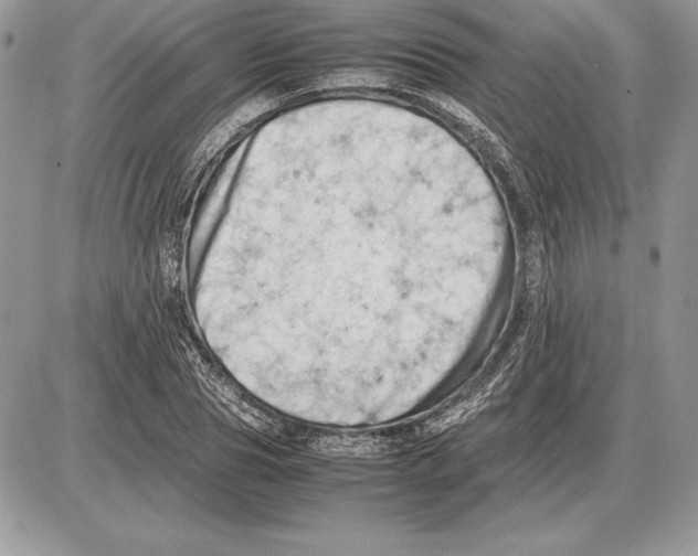 X0000085750929200704131707