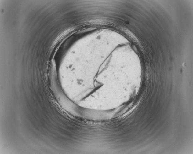 X0000085750930200704131707