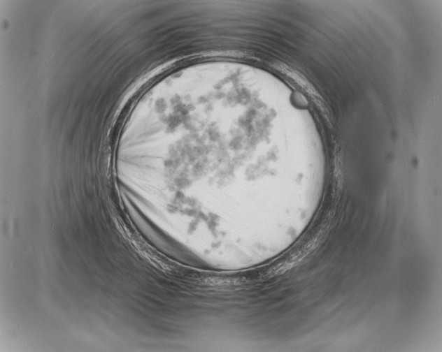 X0000085750933200704131707