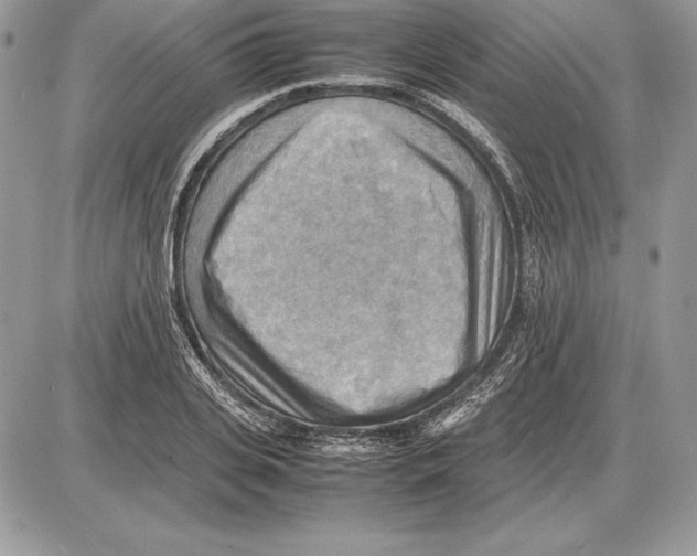 X0000085750935200704131707