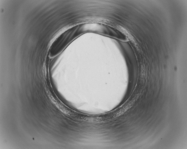 X0000085750936200704131707