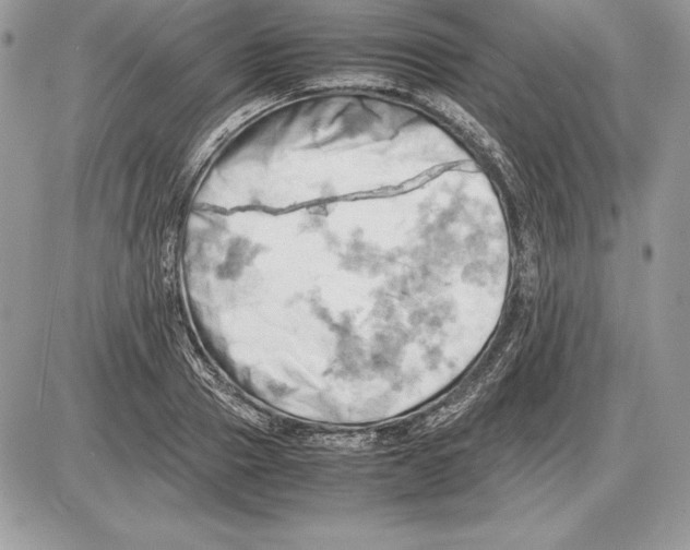 X0000085750937200704131707