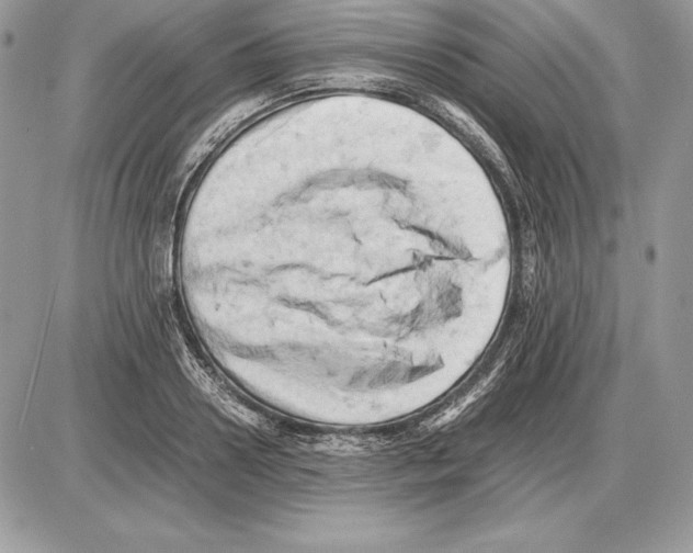 X0000085750938200704131707