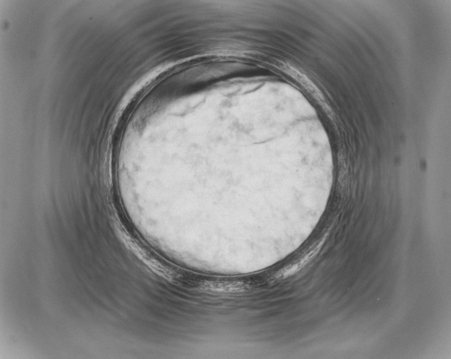 X0000085750939200704131707