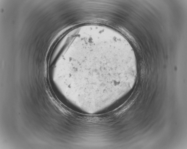 X0000085750940200704131707