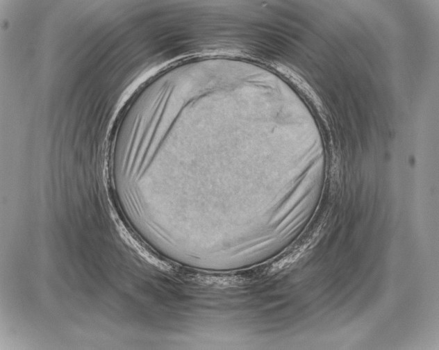 X0000085750941200704131707