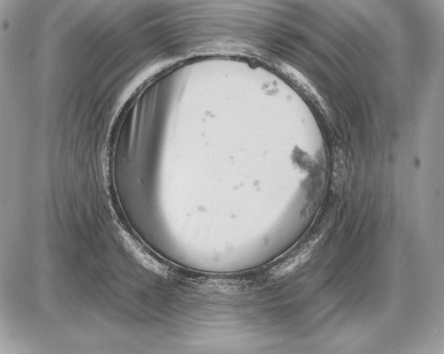 X0000085750942200704131707