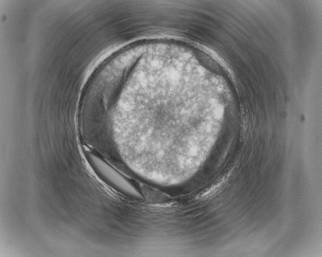 X0000085750943200704131707