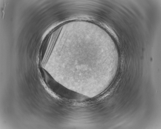 X0000085750944200704131707