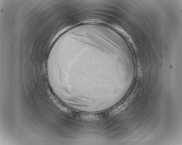 X0000085750945200704131707