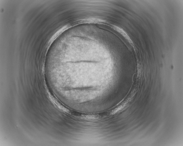 X0000085750946200704131707