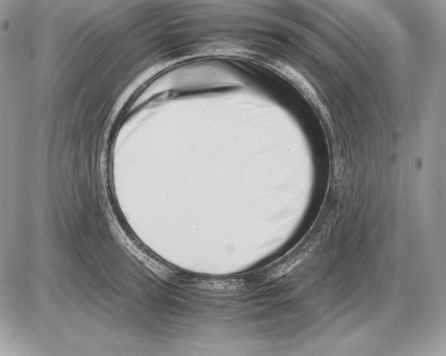 X0000085750947200704131707