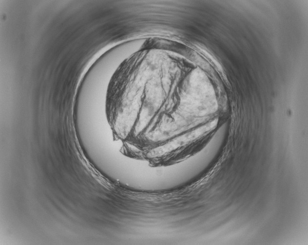 X0000085750948200704131707