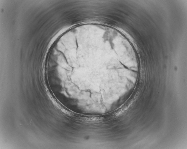 X0000085750949200704131707