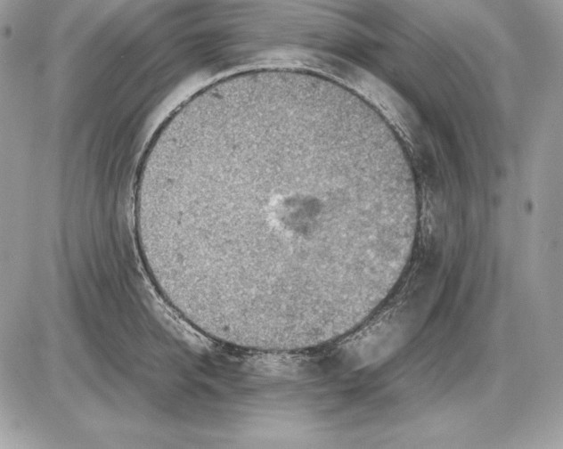 X0000085750950200704131707