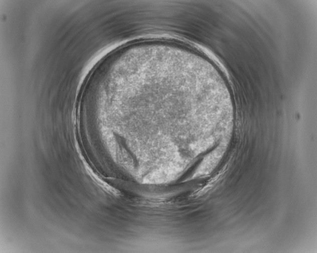 X0000085750951200704131707