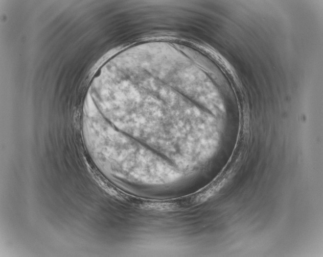 X0000085750953200704131707