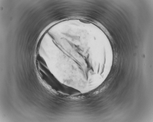 X0000085750955200704131708