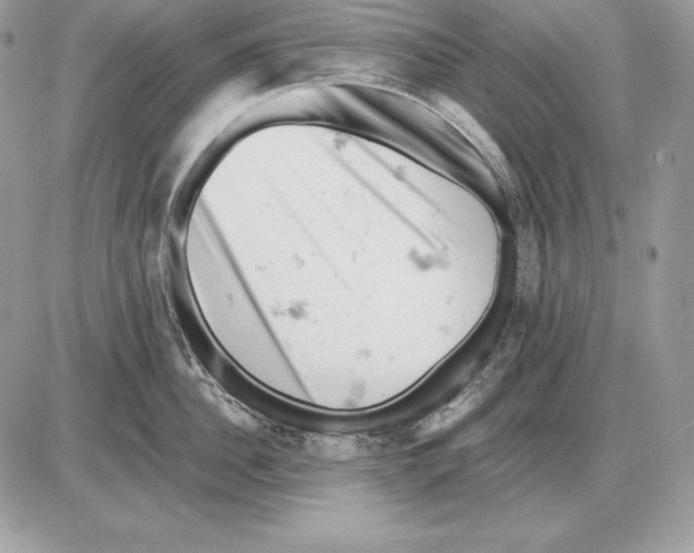 X0000085750956200704131708