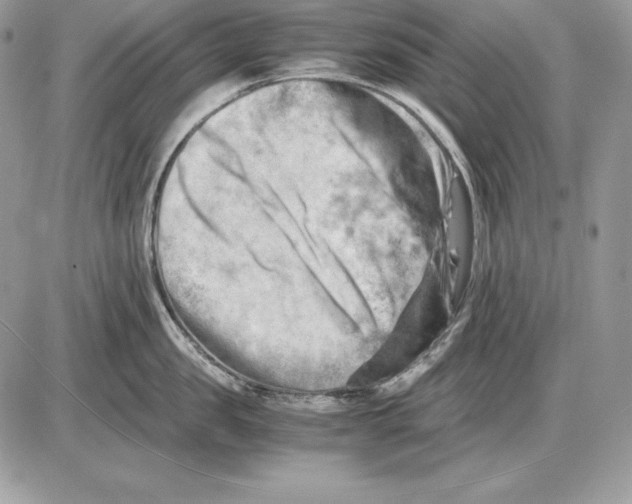 X0000085750957200704131708