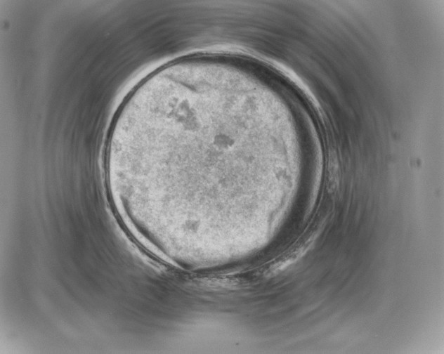 X0000085750959200704131708