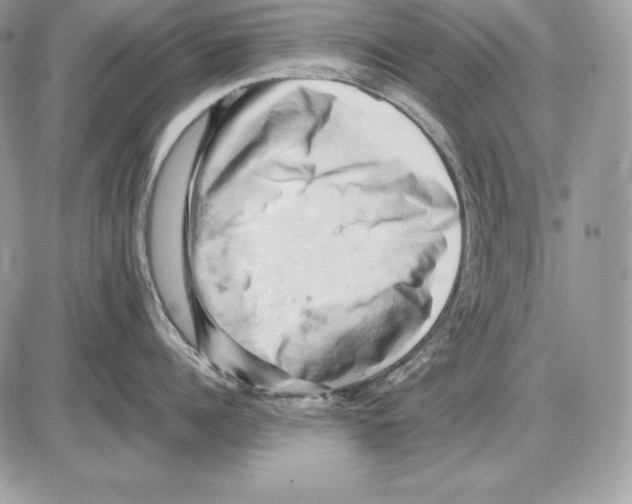 X0000085750960200704131708