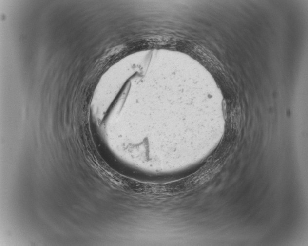 X0000085750961200704131707