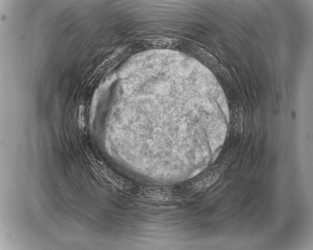 X0000085750962200704131707