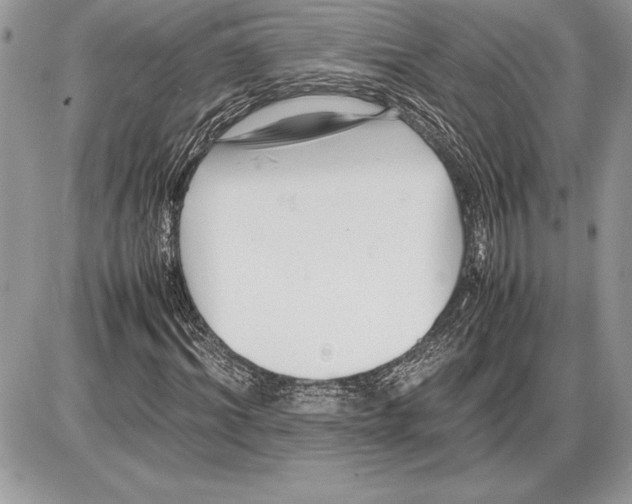 X0000085750964200704131707