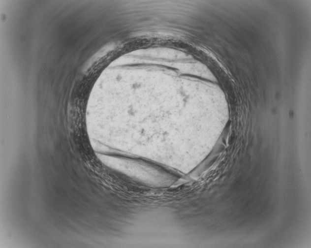 X0000085750967200704131707