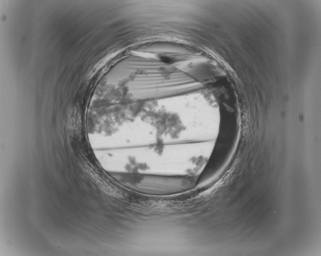 X0000085750969200704131707