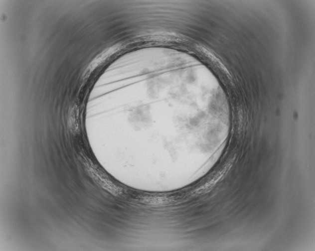 X0000085750970200704131707