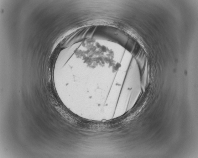 X0000085750973200704131707