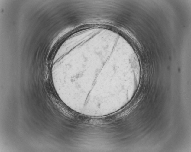 X0000085750974200704131707