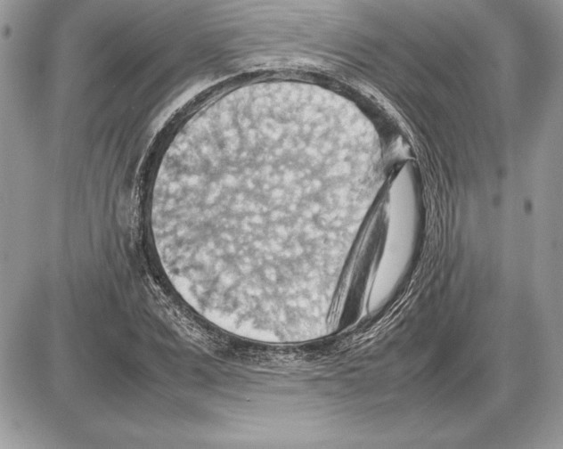 X0000085750975200704131706